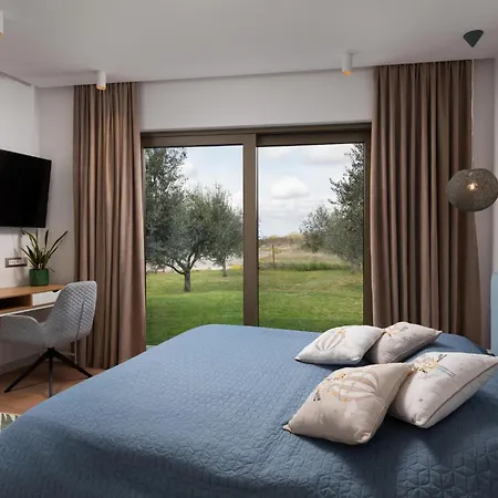 Olive Grove