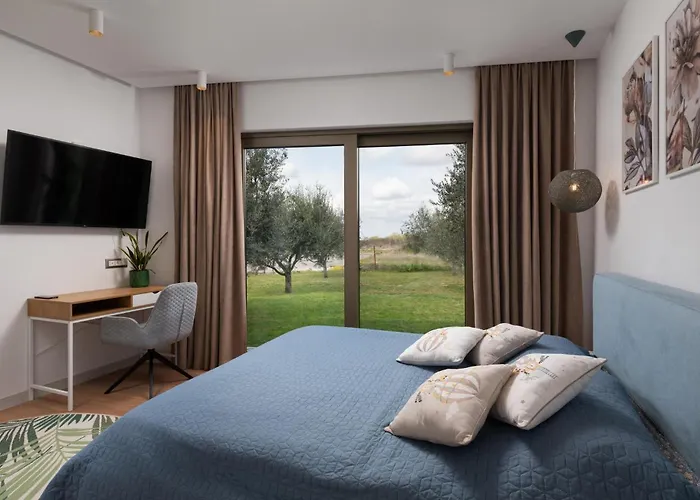 Olive Grove