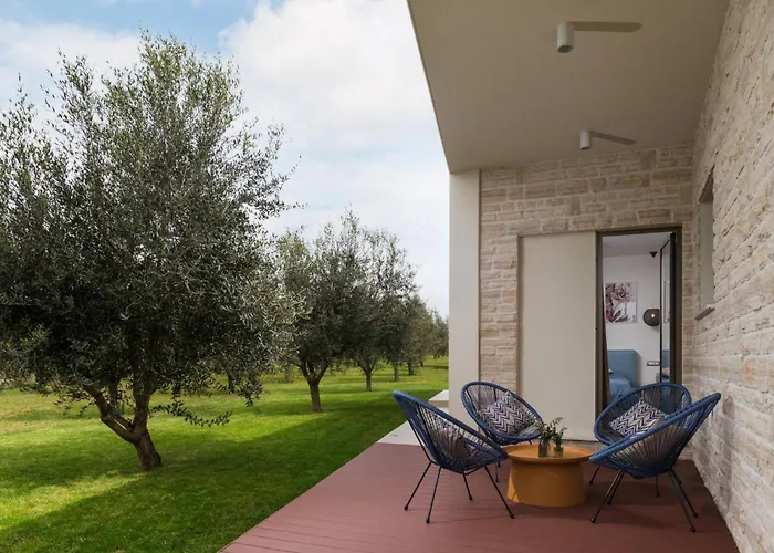 Olive Grove Tatil Evi *
