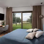 Olive Grove